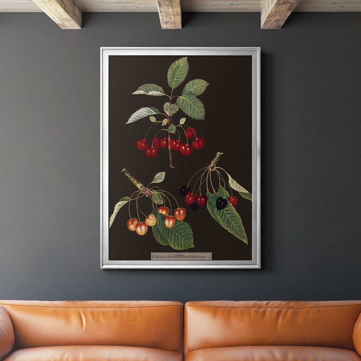 Brookshaw Cherries - Modern Framed Canvas Print