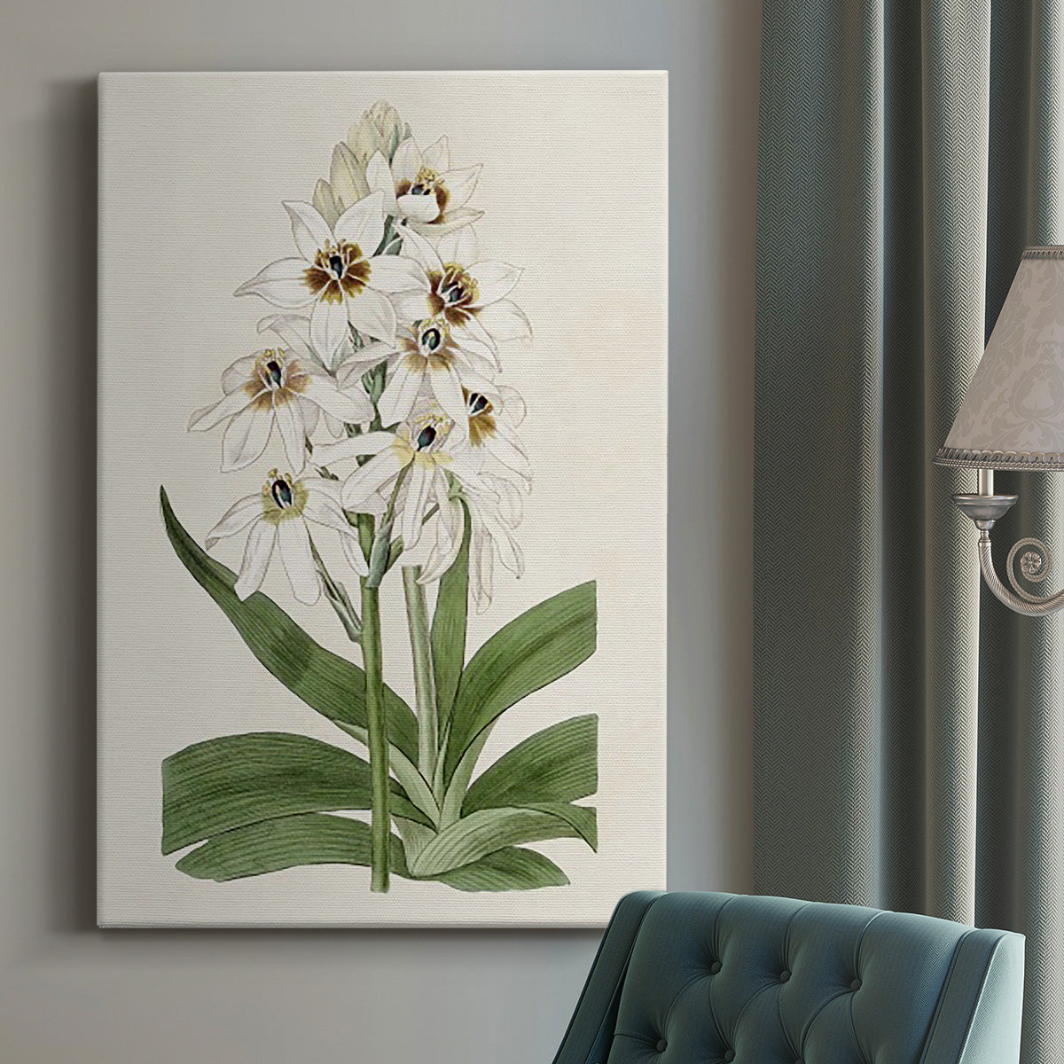 Flore Albo I Premium Gallery Wrapped Canvas - Ready to Hang