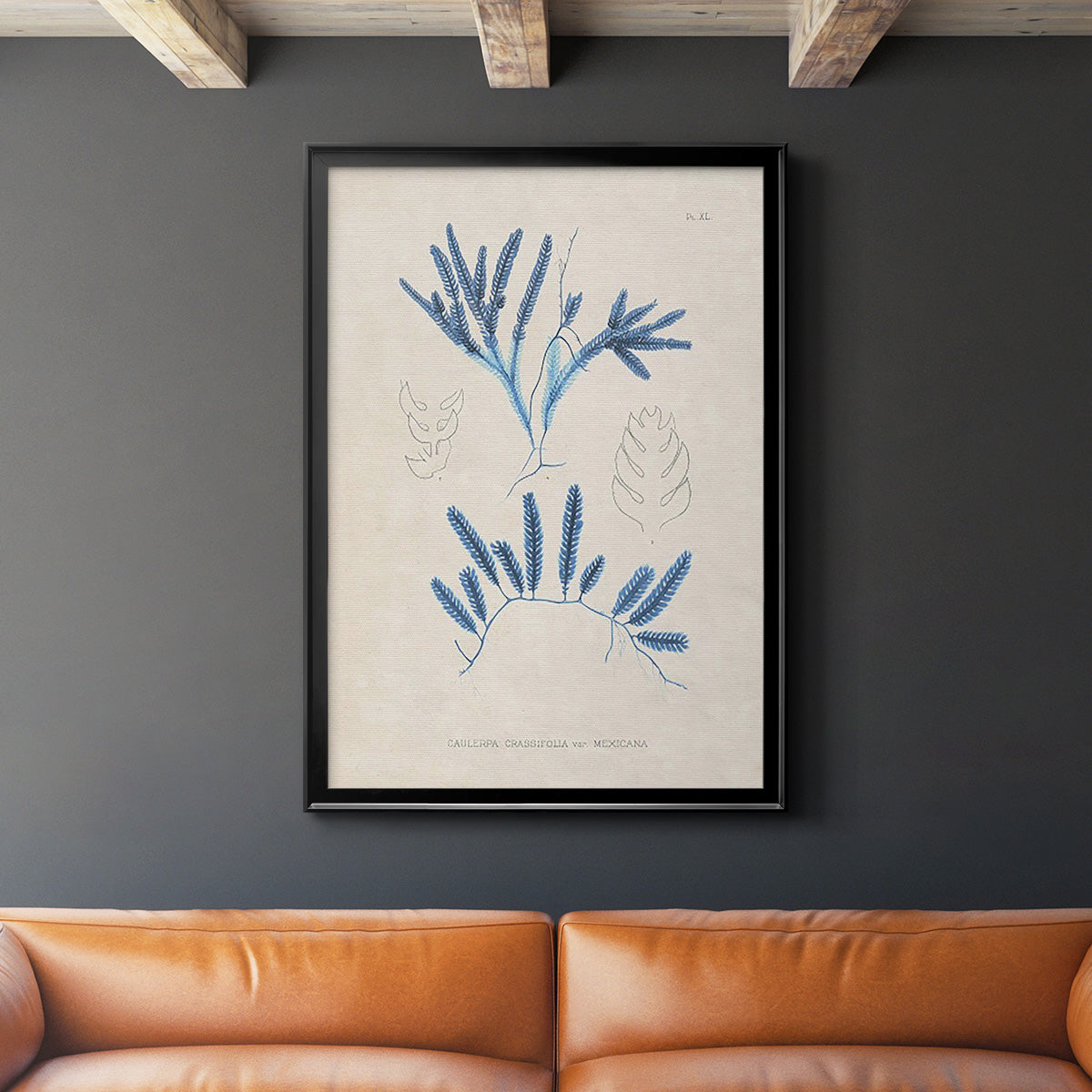 Blue Marine Algae I - Modern Framed Canvas Print