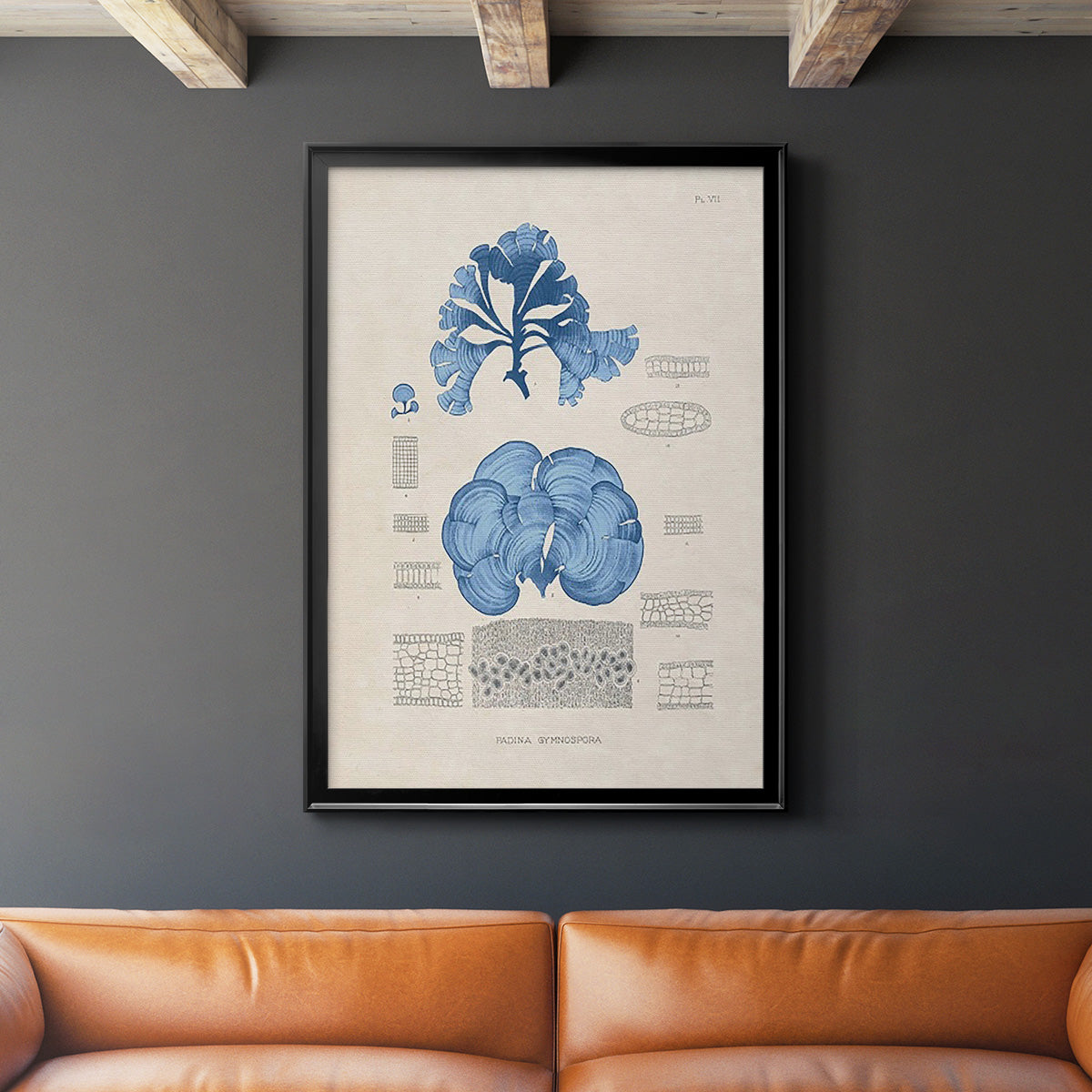 Blue Marine Algae IV -  Framed Canvas Print