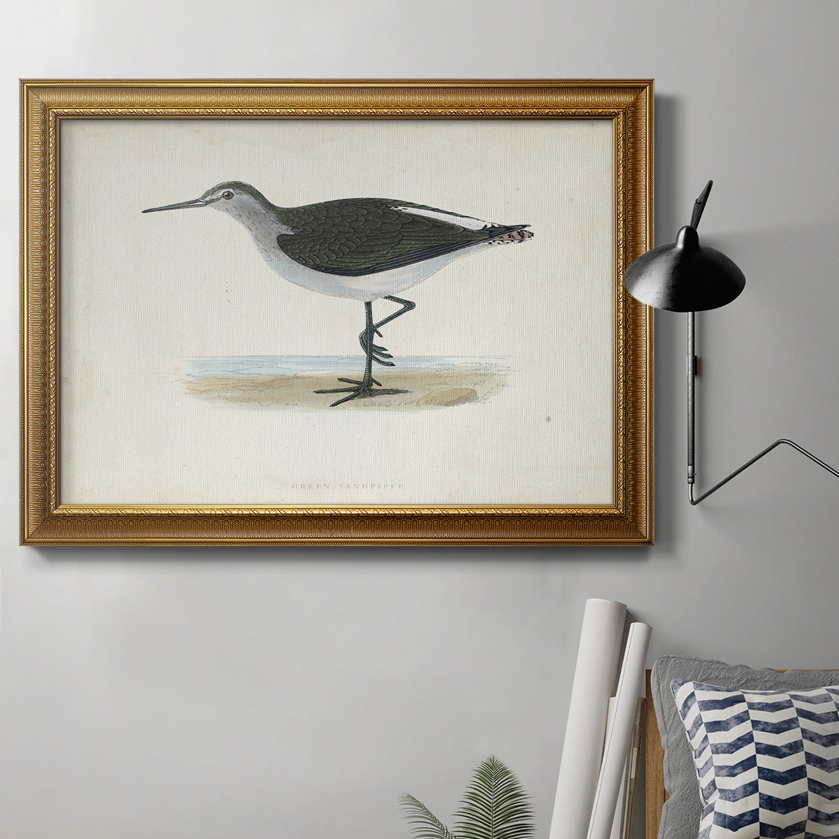 Morris Sandpipers VI Premium Framed Canvas- Ready to Hang