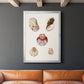 Pastel Knorr Shells V - Modern Framed Canvas Print