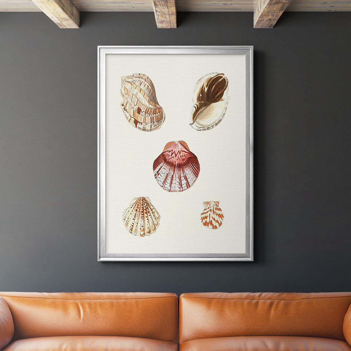 Pastel Knorr Shells V - Modern Framed Canvas Print