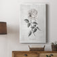 Vintage Botanical I - Canvas Art Print