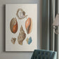 Knorr Shells & Coral I Premium Gallery Wrapped Canvas - Ready to Hang