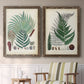 Collected Ferns I - Premium Framed Canvas 2 Piece Set - Ready to Hang