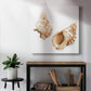 Watercolor Shells VII-Premium Gallery Wrapped Canvas - Ready to Hang