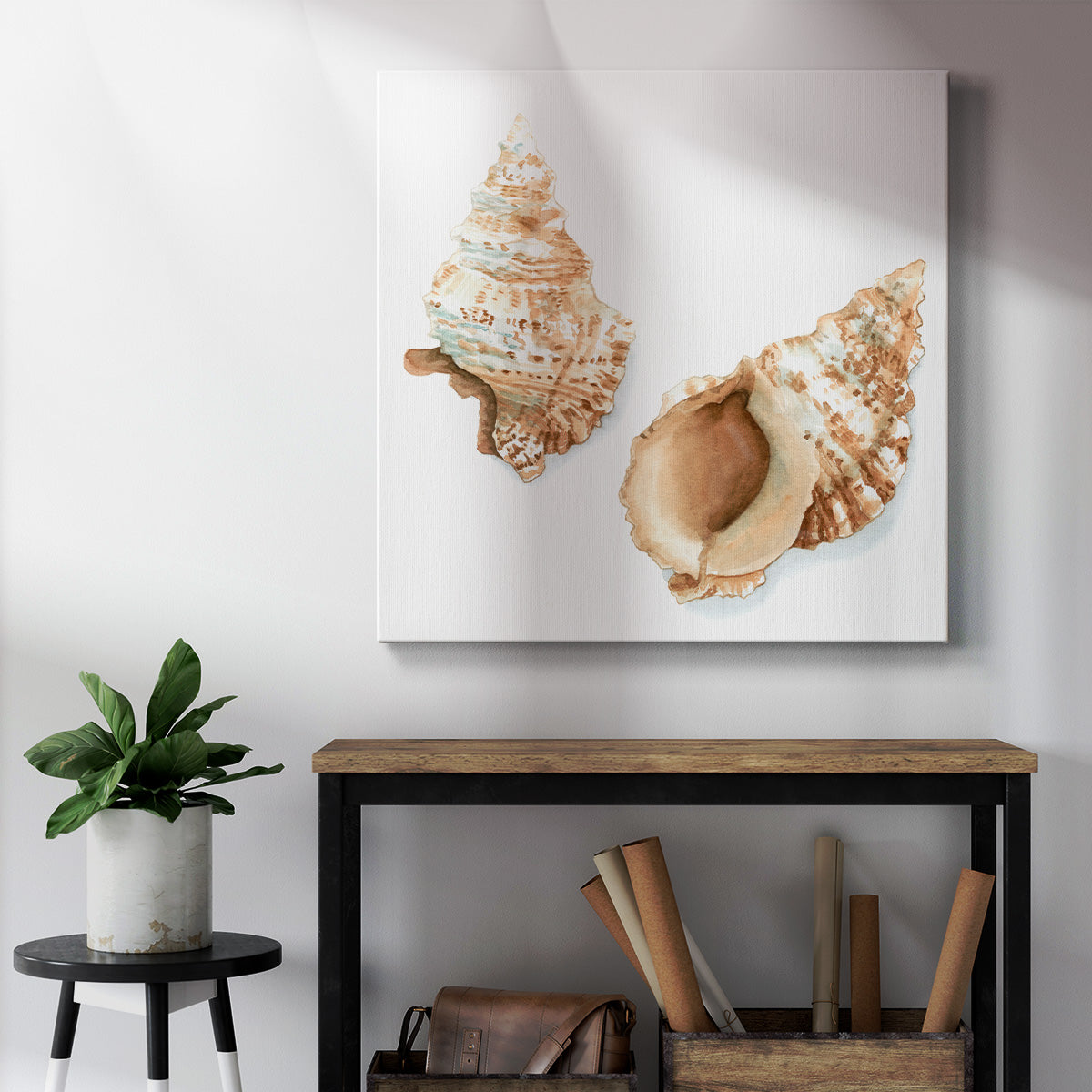 Watercolor Shells VII-Premium Gallery Wrapped Canvas - Ready to Hang