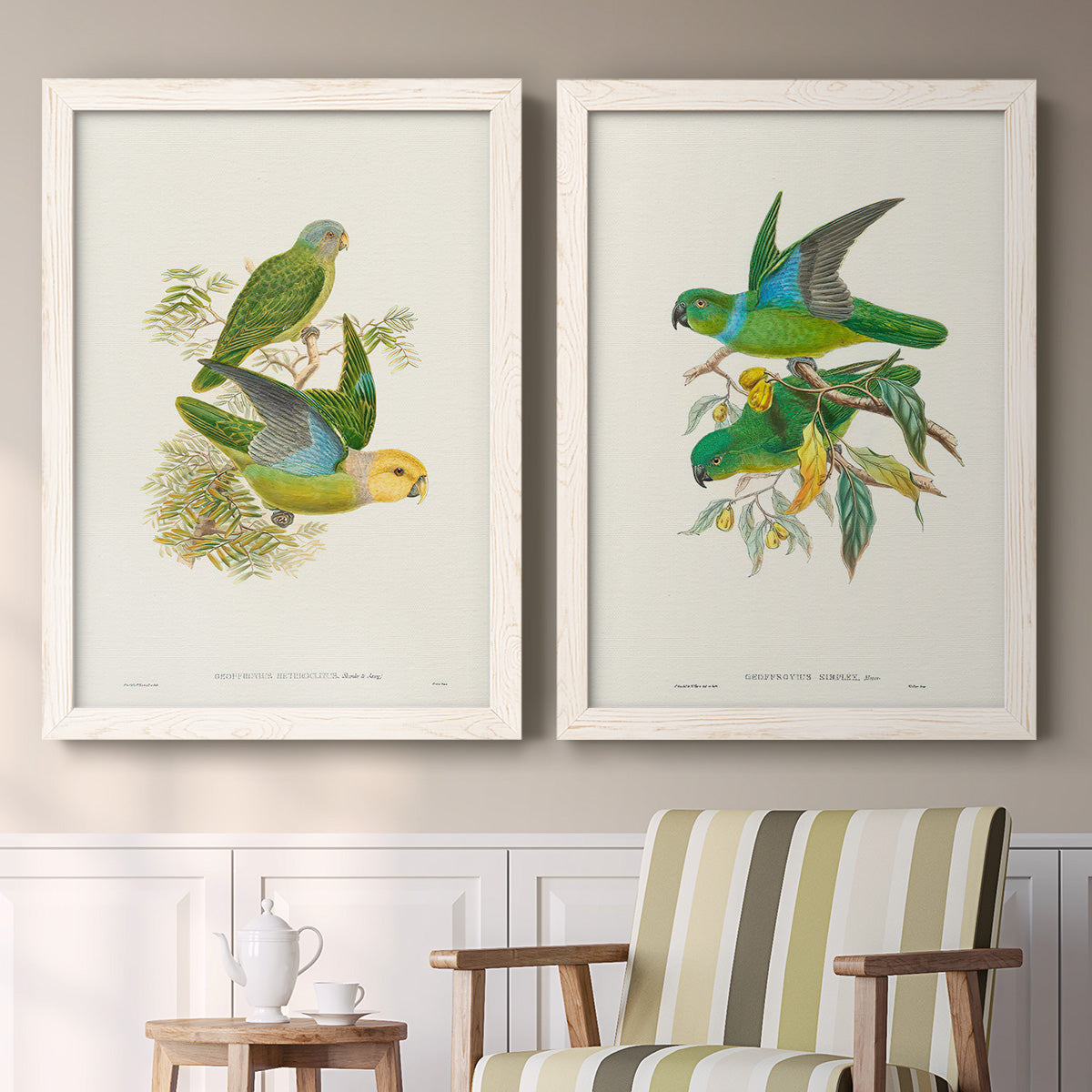 Lime & Cerulean Parrots I - Barnwood Framed Canvas Set