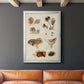 Mushroom Species III - Modern Framed Canvas Print