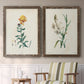 Traditional Botanical III - Premium Framed Canvas 2 Piece Set - Ready to Hang