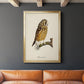 French Owls II - Modern Framed Canvas Print