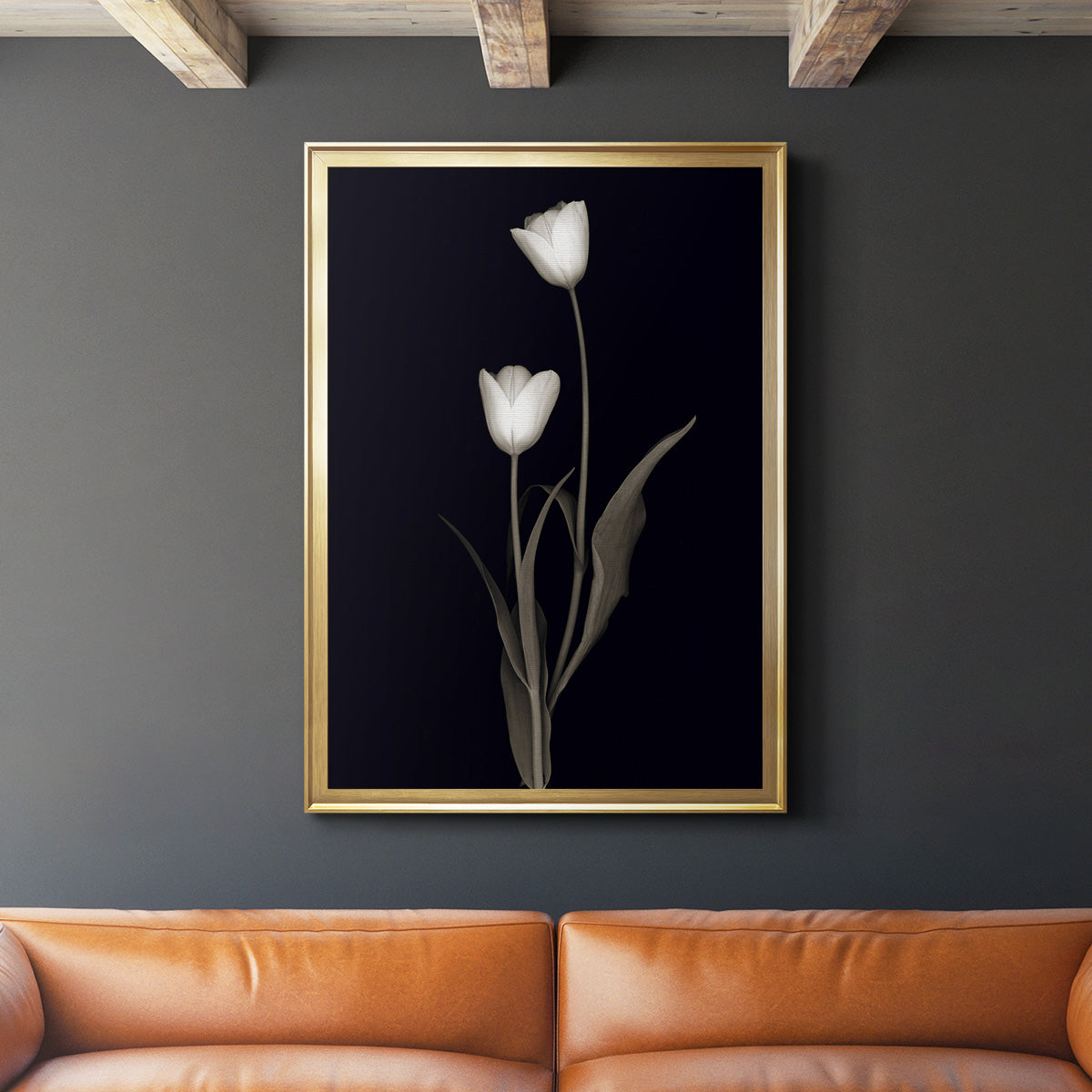 Tulip Pose II - Modern Framed Canvas Print