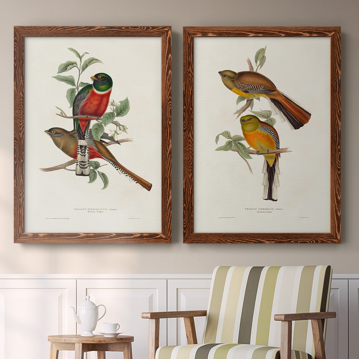 Elegant Trogons I - Premium Framed Canvas 2 Piece Set - Ready to Hang