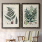Set of two black barnwood framed canvas prints depicting two natural-history fern plates featuring vintage fern specimens with botanical details above a sideboard in a cozy sitting room.