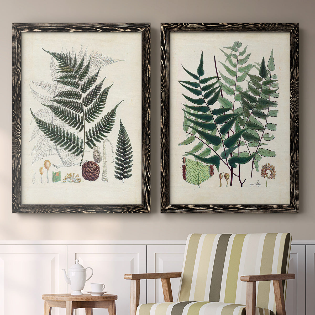 Set of two black barnwood framed canvas prints depicting two natural-history fern plates featuring vintage fern specimens with botanical details above a sideboard in a cozy sitting room.