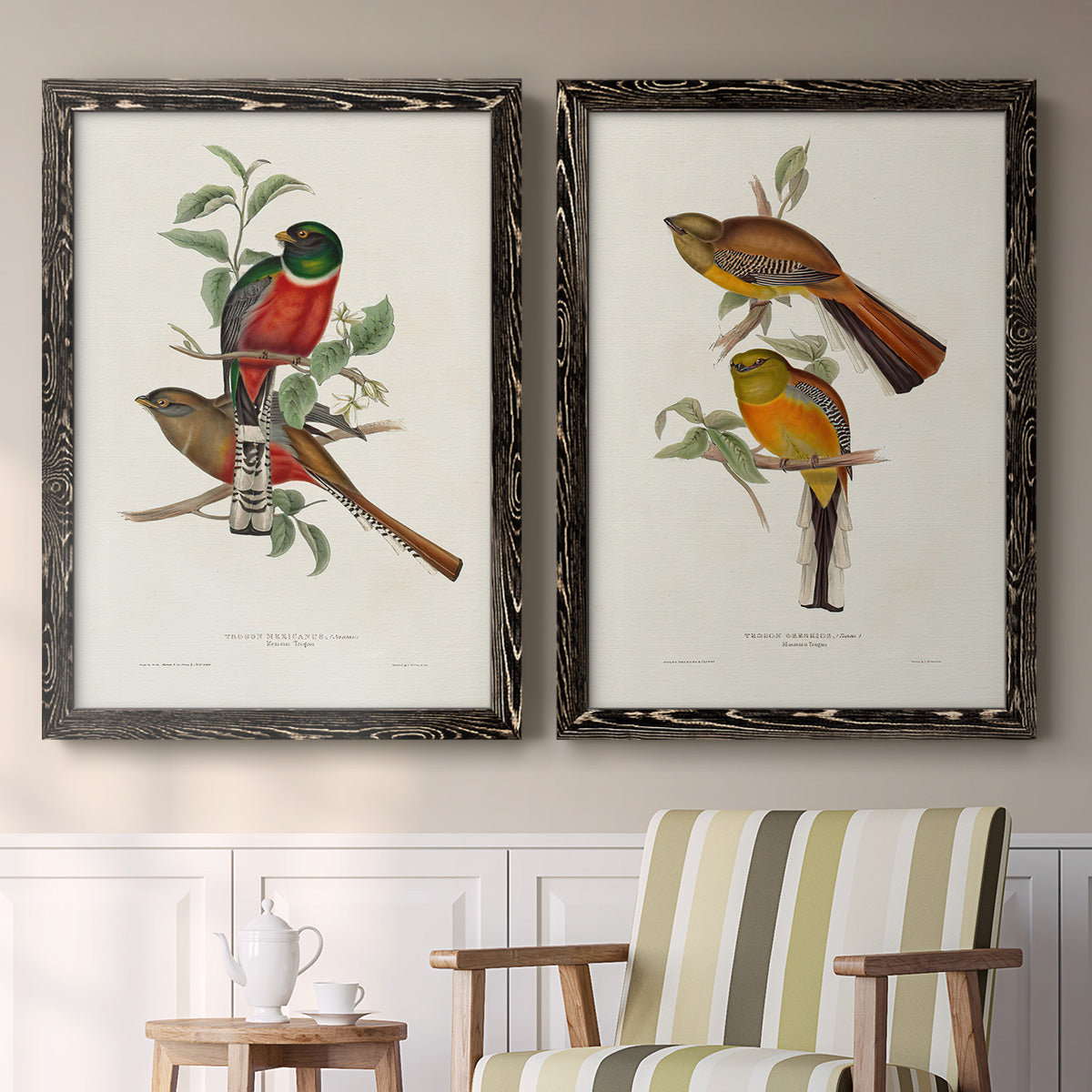 Elegant Trogons I - Premium Framed Canvas 2 Piece Set - Ready to Hang