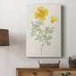 Flowers of the Seasons IX - Canvas Art Print