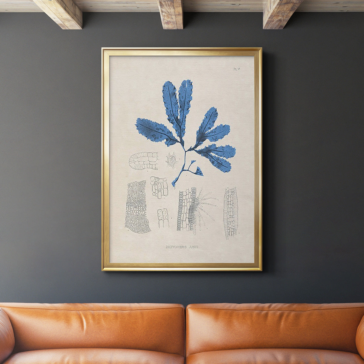 Blue Marine Algae VII - Modern Framed Canvas Print