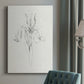 Neutral Iris Sketch I - Canvas Art Print