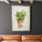 Succulent I - Modern Framed Canvas Print