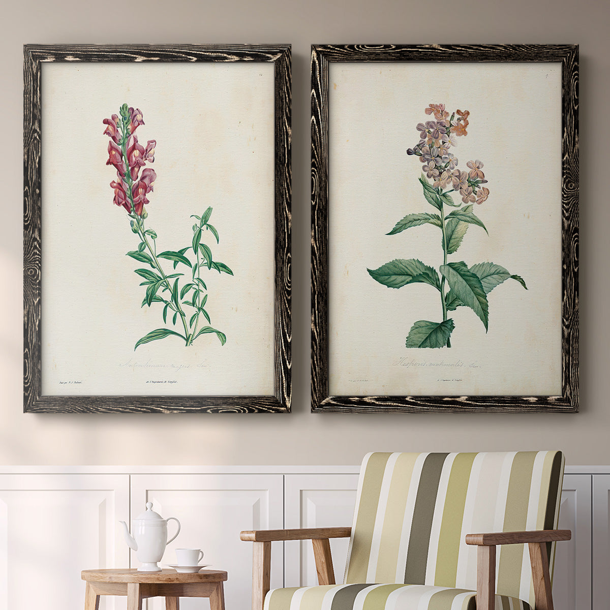 Set of two black barnwood framed canvas prints depicting two vintage botanical studies of flowering stems with detailed green leaves on aged cream paper above a sideboard in a cozy sitting room.