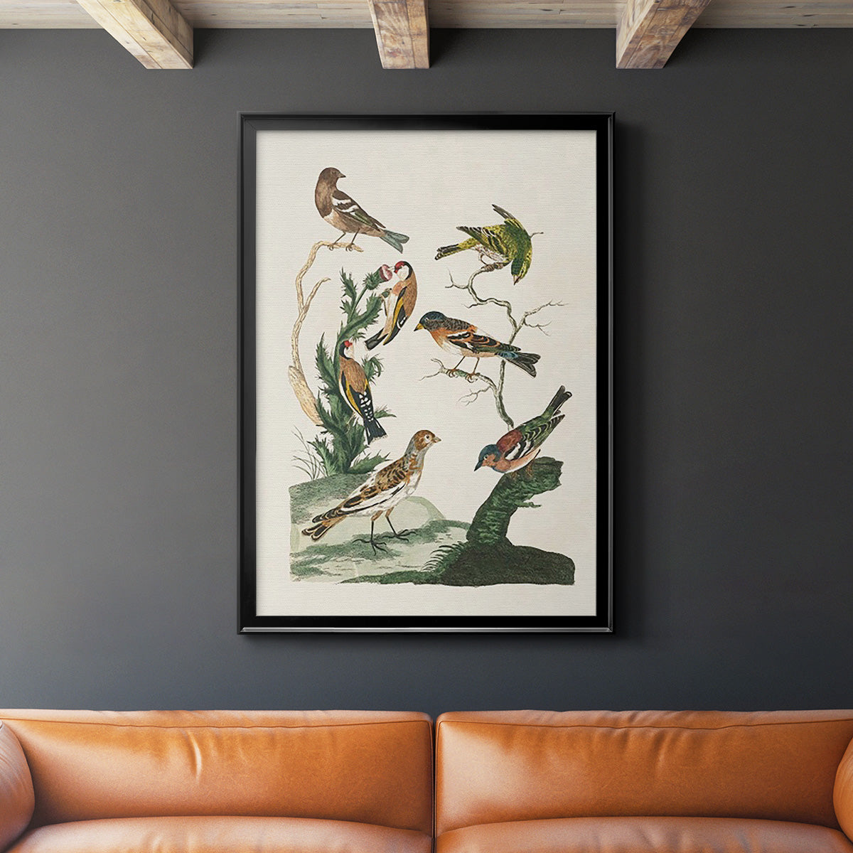 Antique Birds in Nature I - Modern Framed Canvas Print