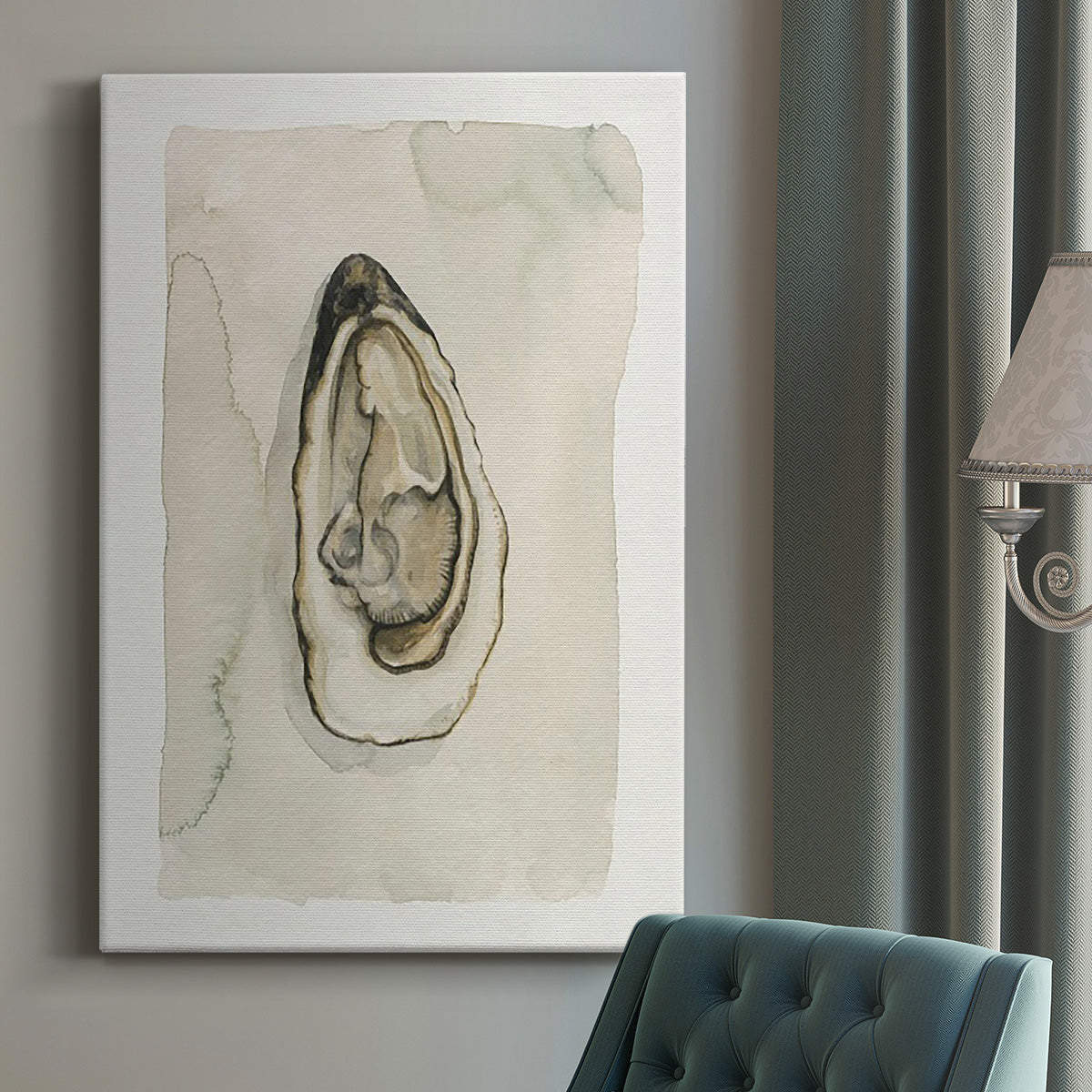 Soft Half Shell I Premium Gallery Wrapped Canvas - Ready to Hang