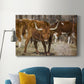 Longhorns Premium Gallery Wrapped Canvas - Ready to Hang