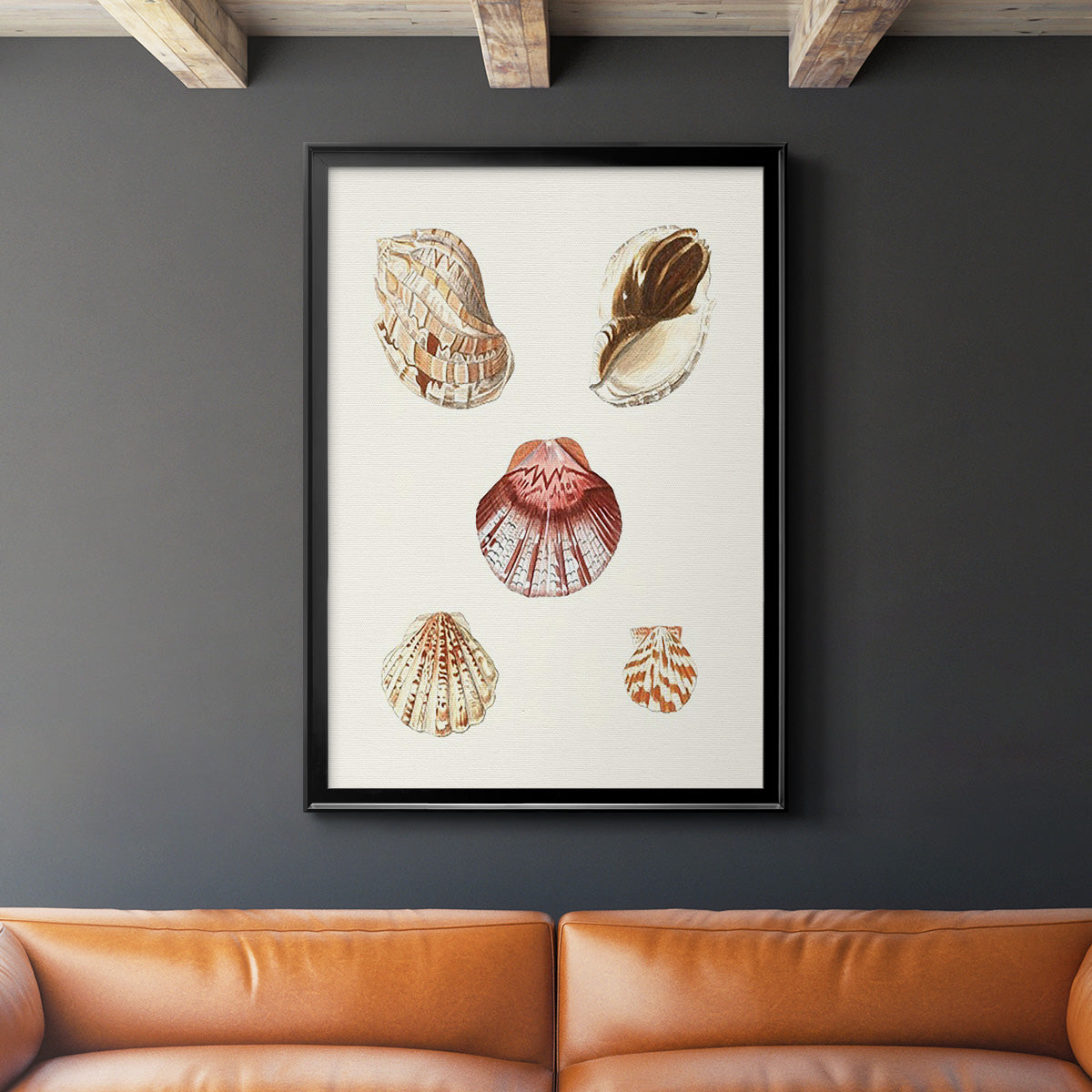 Pastel Knorr Shells V - Modern Framed Canvas Print