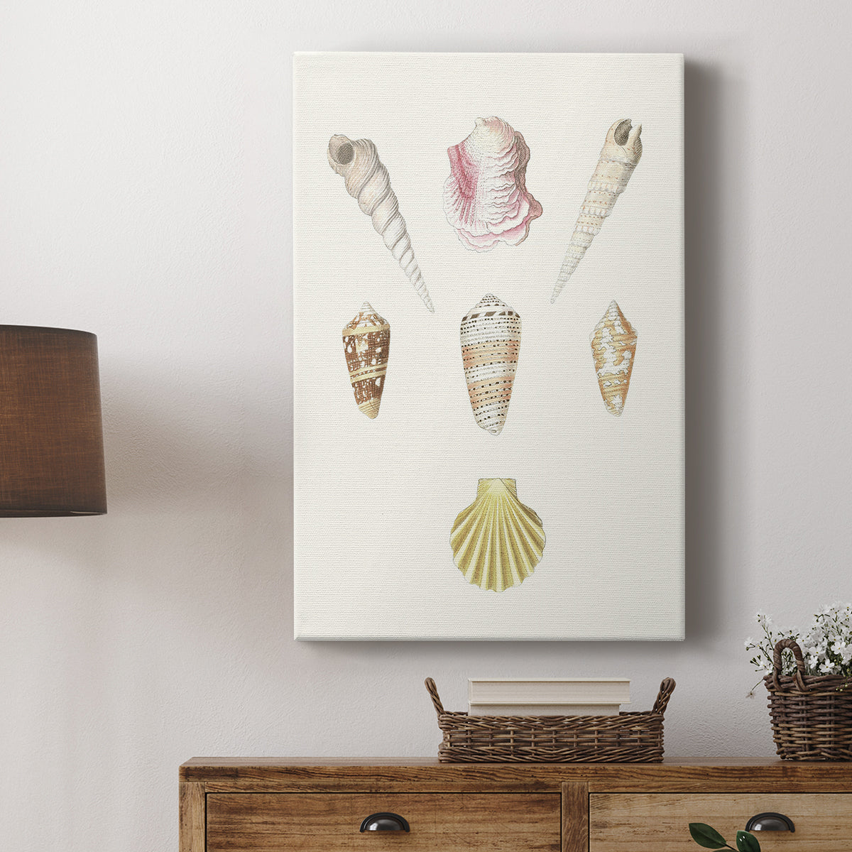 Pastel Knorr Shells I - Canvas Art Print