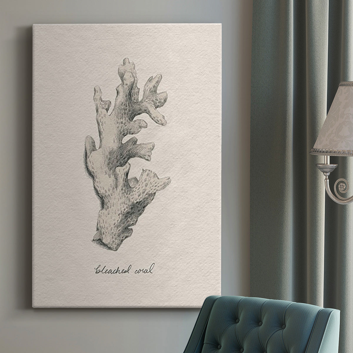 Shore Treasure Study II - Canvas Art Print