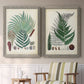 Set of two gray barnwood framed canvas prints depicting two natural-history fern plates featuring vintage fern specimens with botanical details above a sideboard in a cozy sitting room.