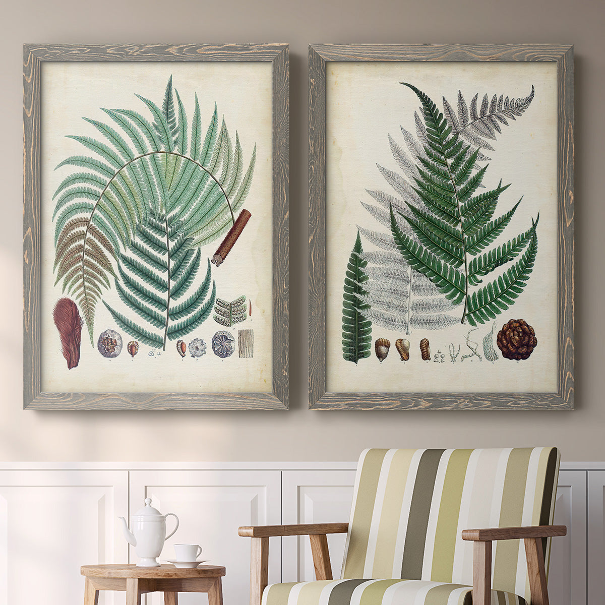 Set of two gray barnwood framed canvas prints depicting two natural-history fern plates featuring vintage fern specimens with botanical details above a sideboard in a cozy sitting room.