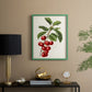 Antique Fruit II - Restickable Framed Art Print