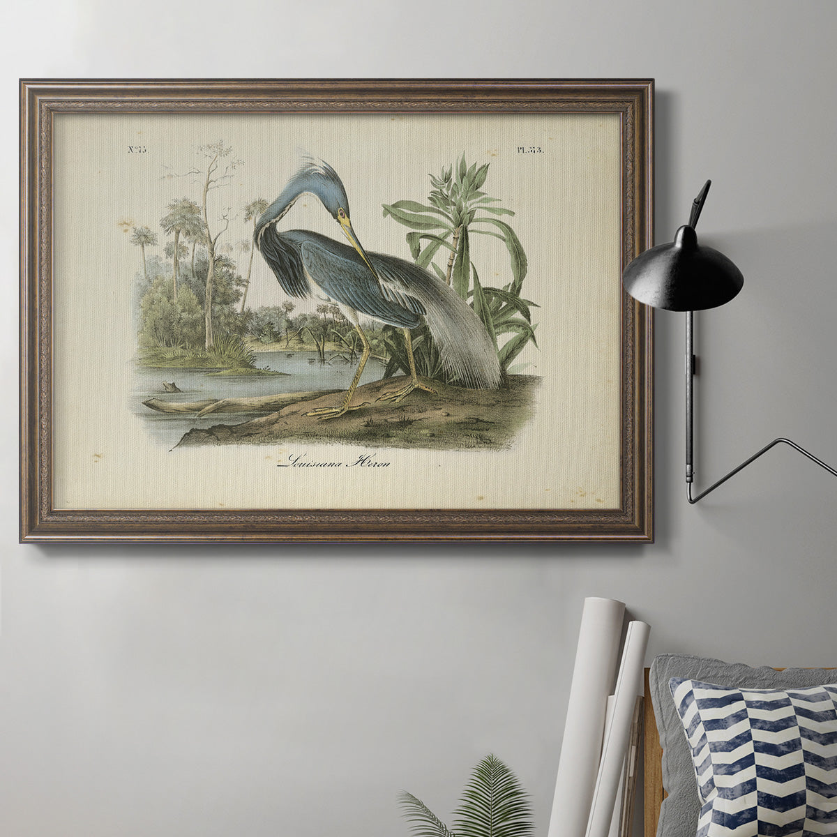 Audubons Louisiana Heron Premium Framed Canvas- Ready to Hang