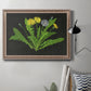 Wild Dandelion II Premium Framed Canvas- Ready to Hang