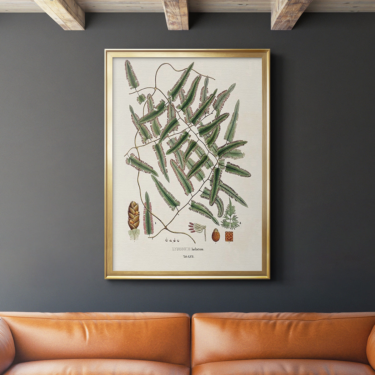 Botanical Society Ferns X - Modern Framed Canvas Print