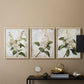 Floral Study Series LXXXVII - Restickable Framed Art Set