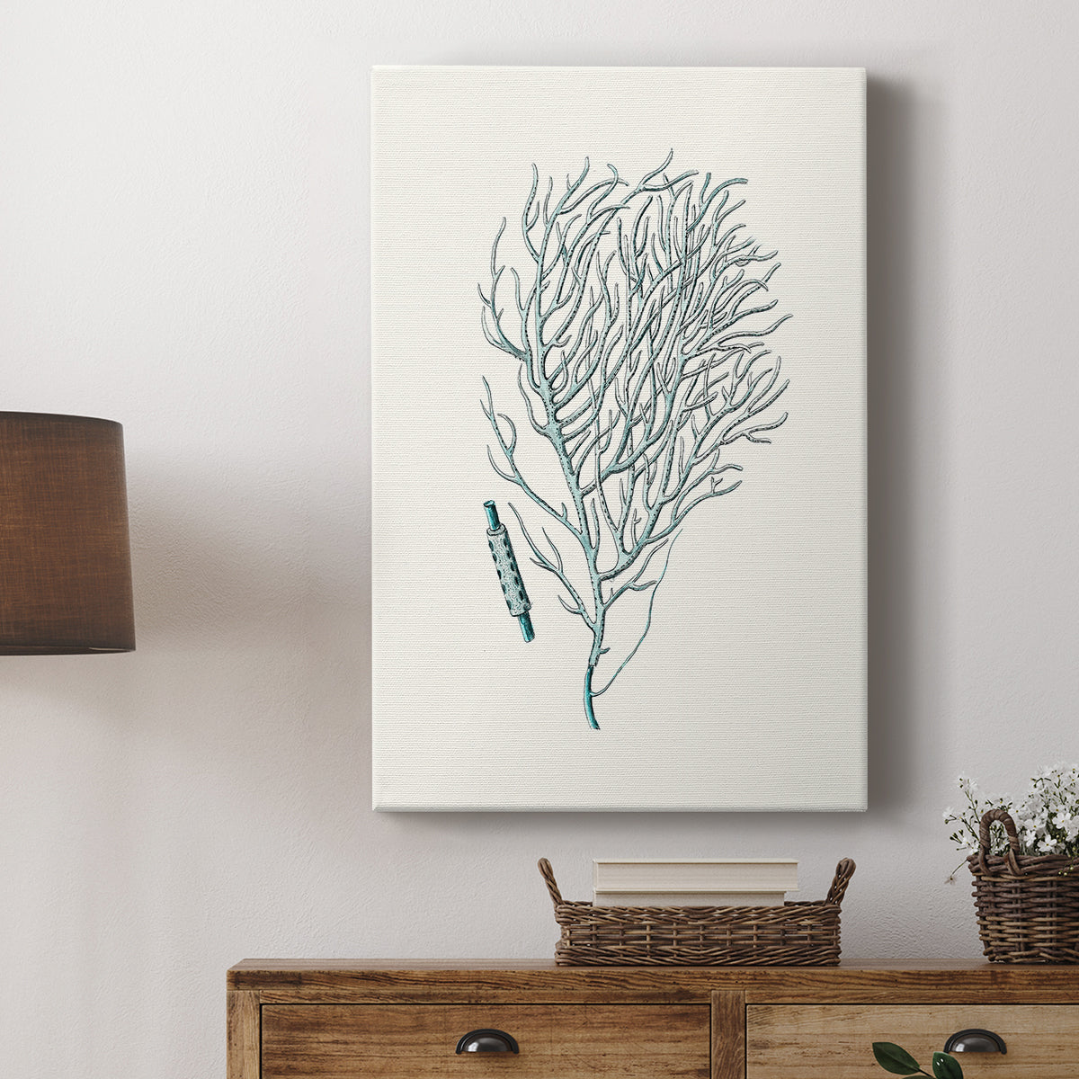 Antique Coastal Coral I - Canvas Art Print