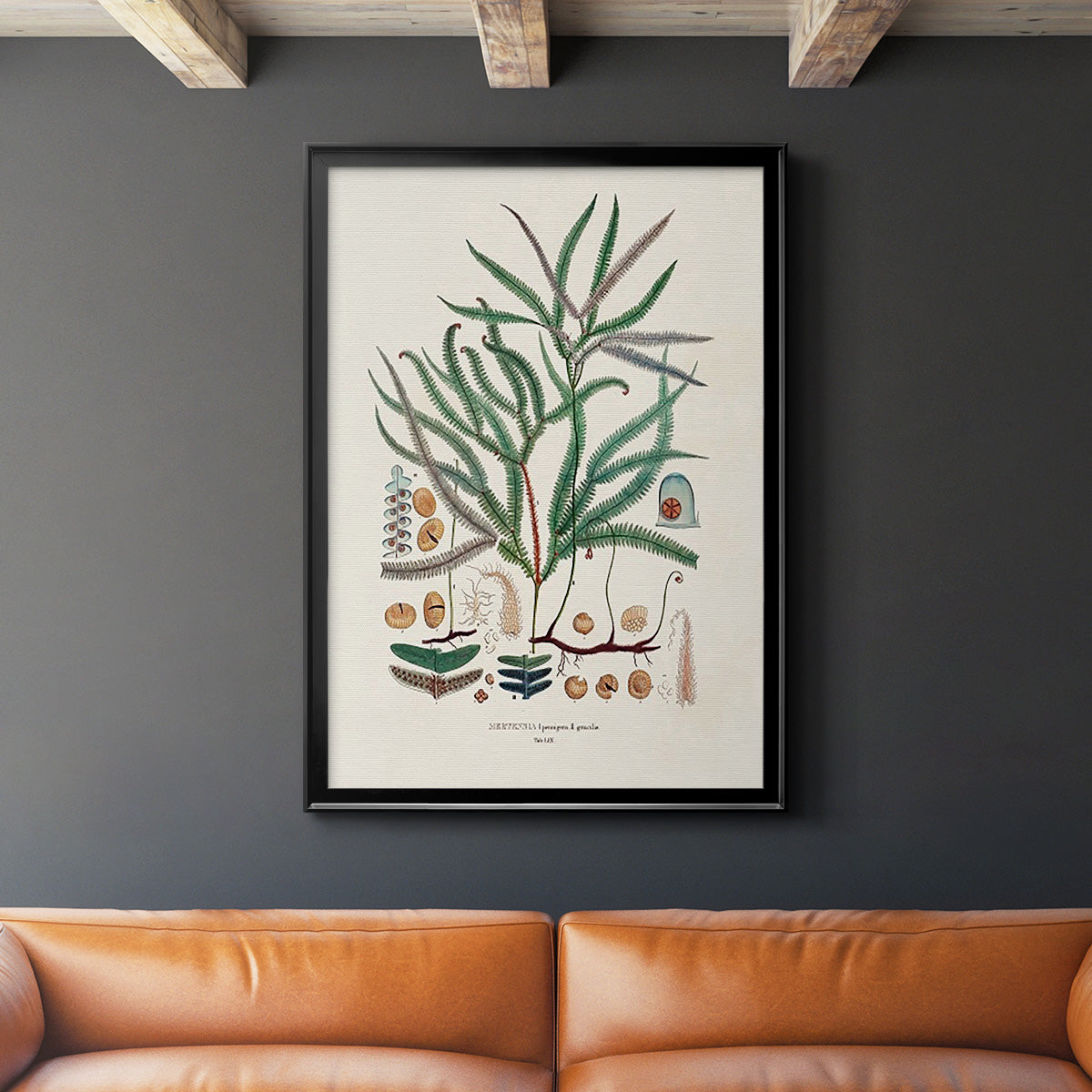 Botanical Society Ferns VII - Modern Framed Canvas Print