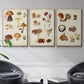 Mushroom Species I - Floater Framed Canvas Set