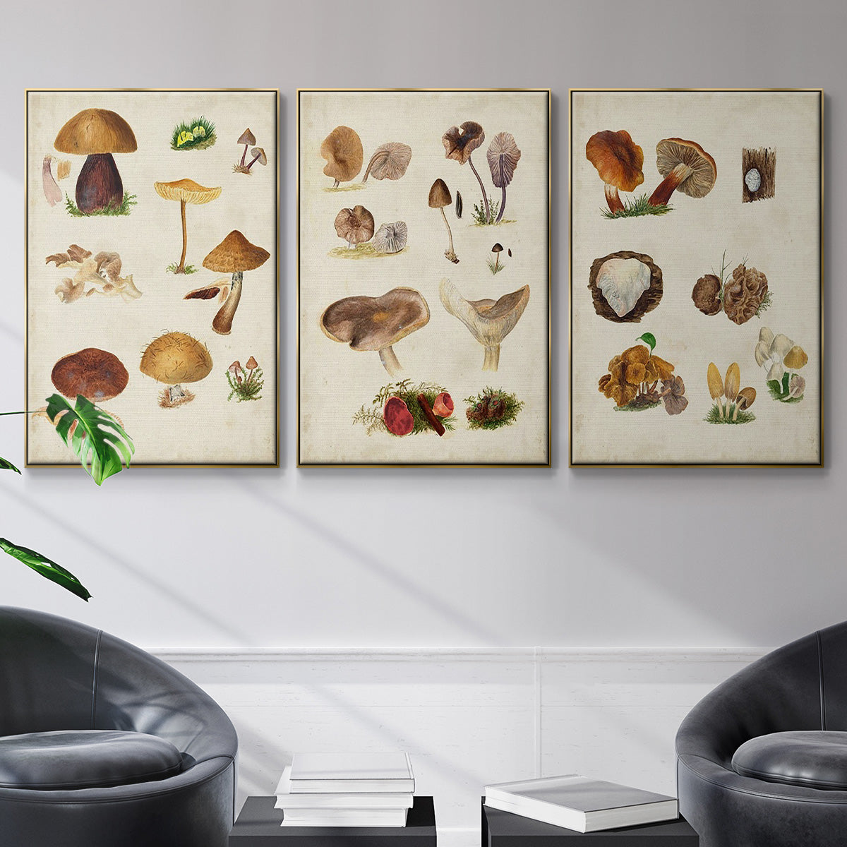 Mushroom Species I - Floater Framed Canvas Set