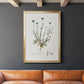 Bellflower Study - Modern Framed Canvas Print