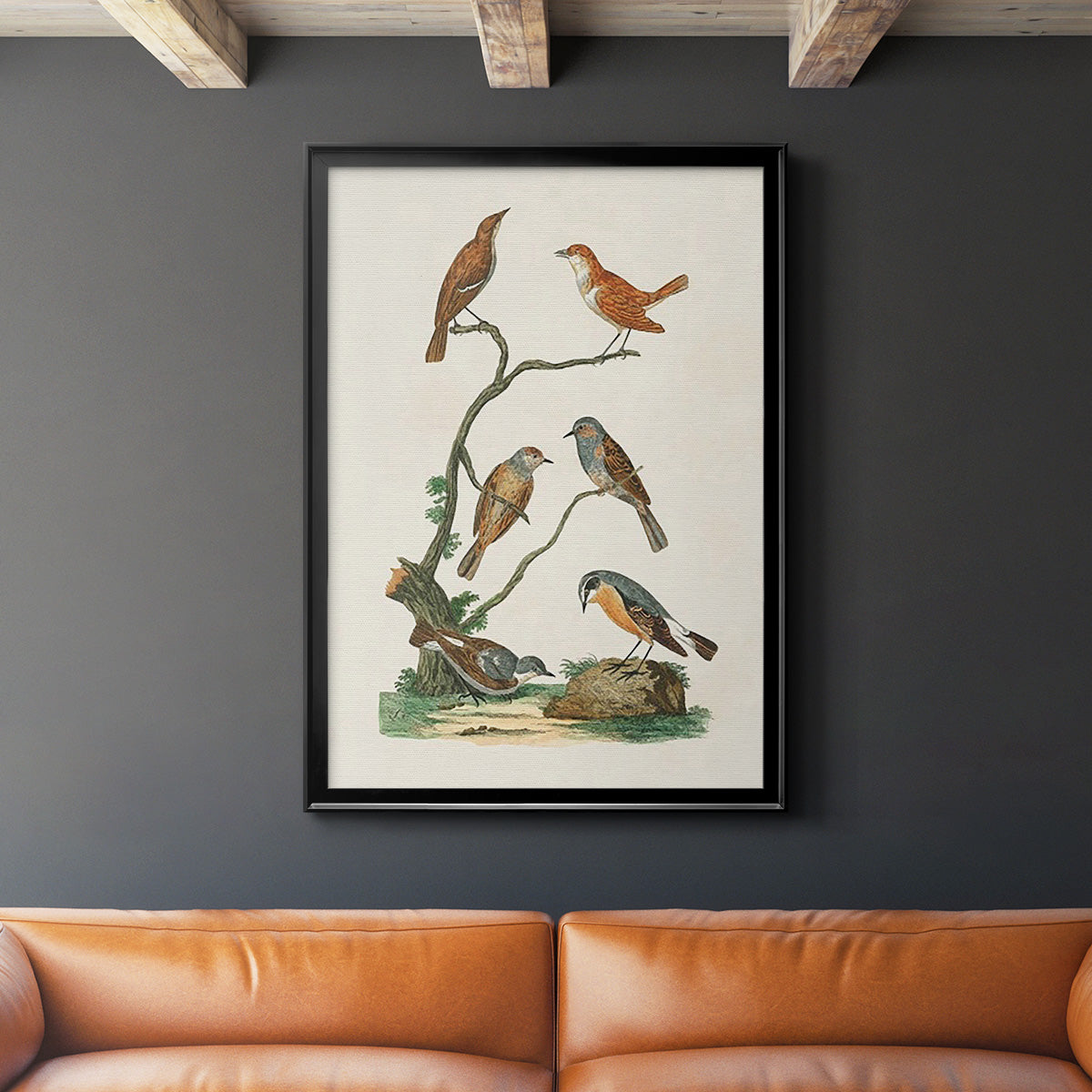 Antique Birds in Nature IV - Modern Framed Canvas Print