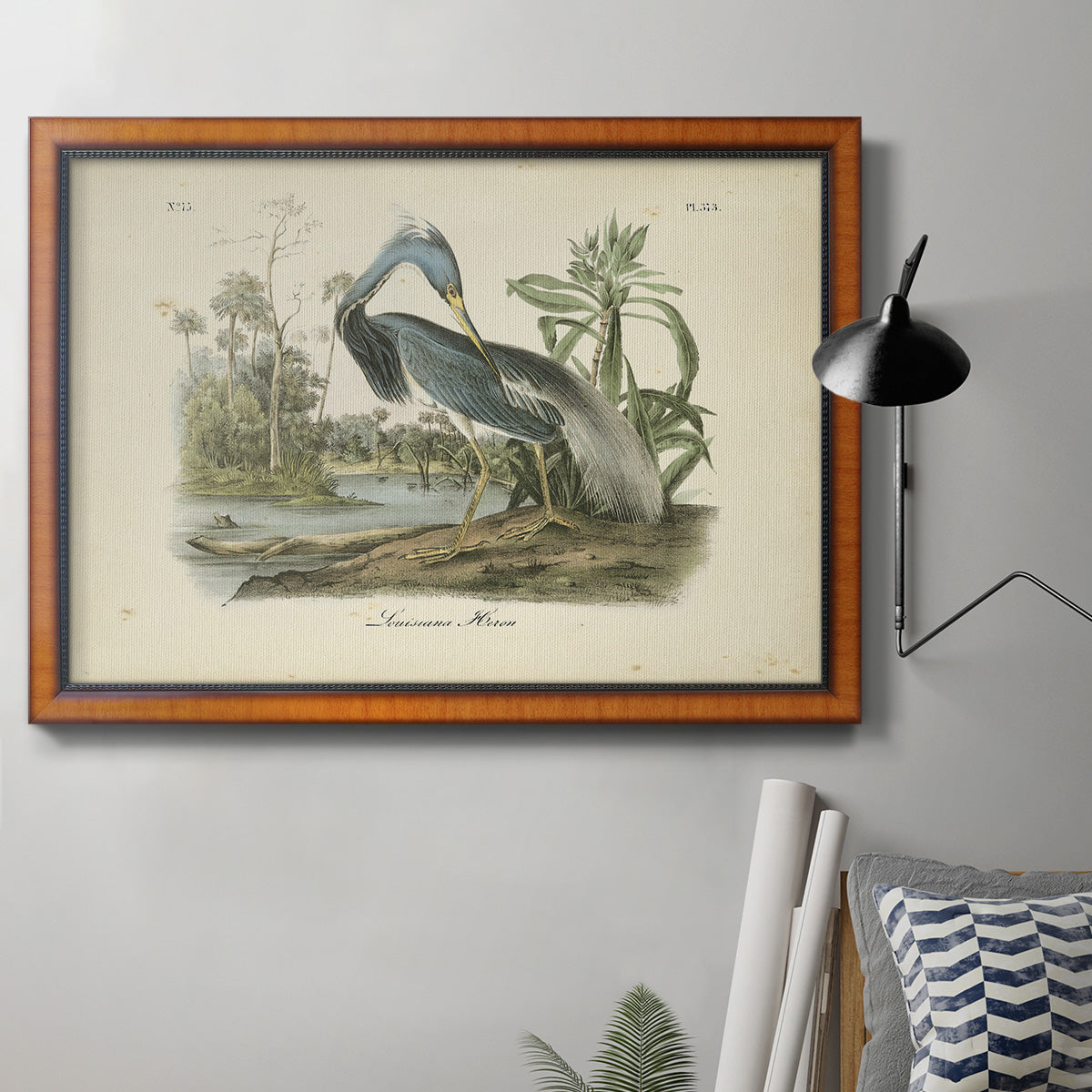 Audubons Louisiana Heron Premium Framed Canvas- Ready to Hang