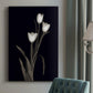 Tulip Pose I - Canvas Art Print