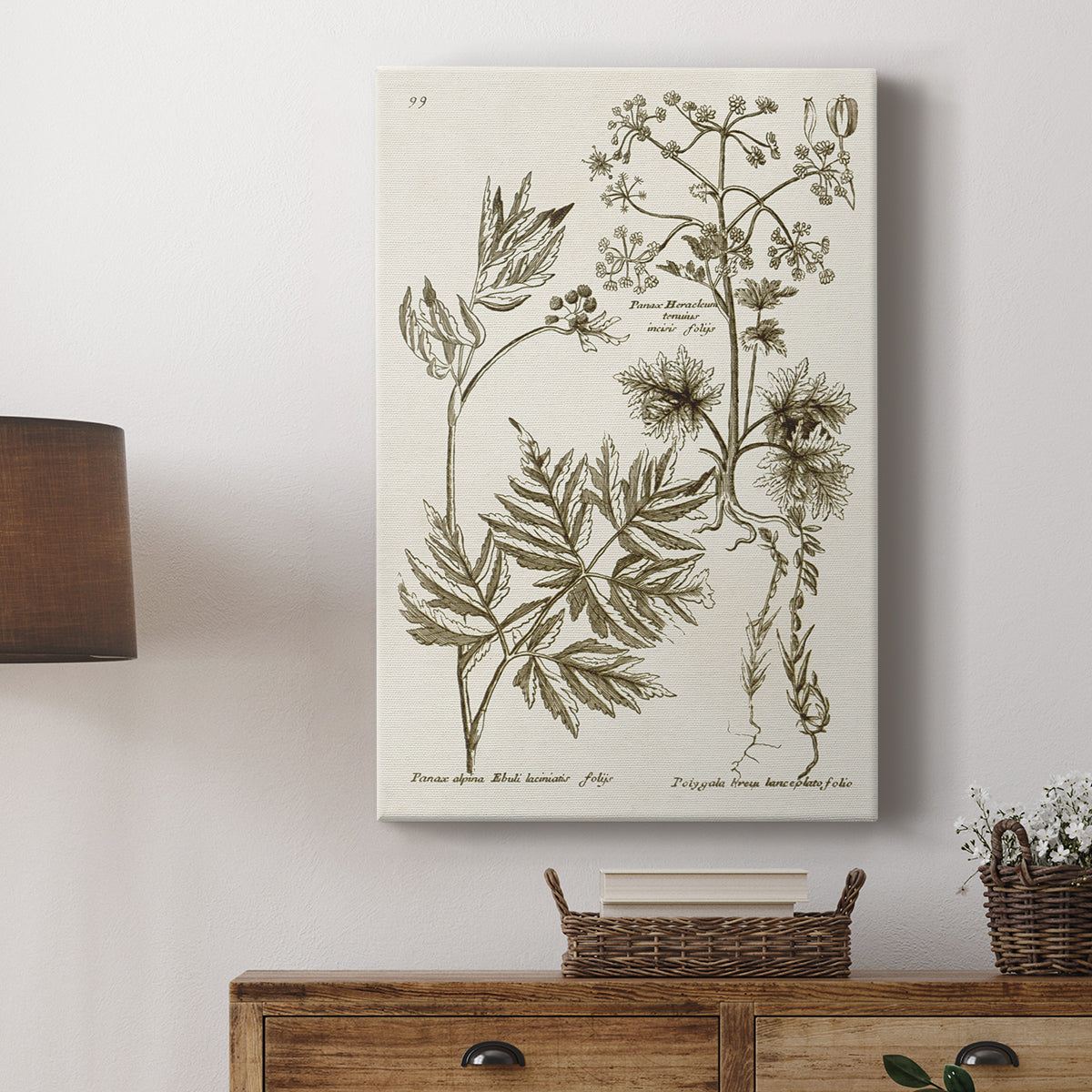 Sepia Botanical Journal III - Canvas Art Print