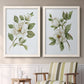 Magnolia Morning I - Premium Framed Canvas 2 Piece Set - Ready to Hang