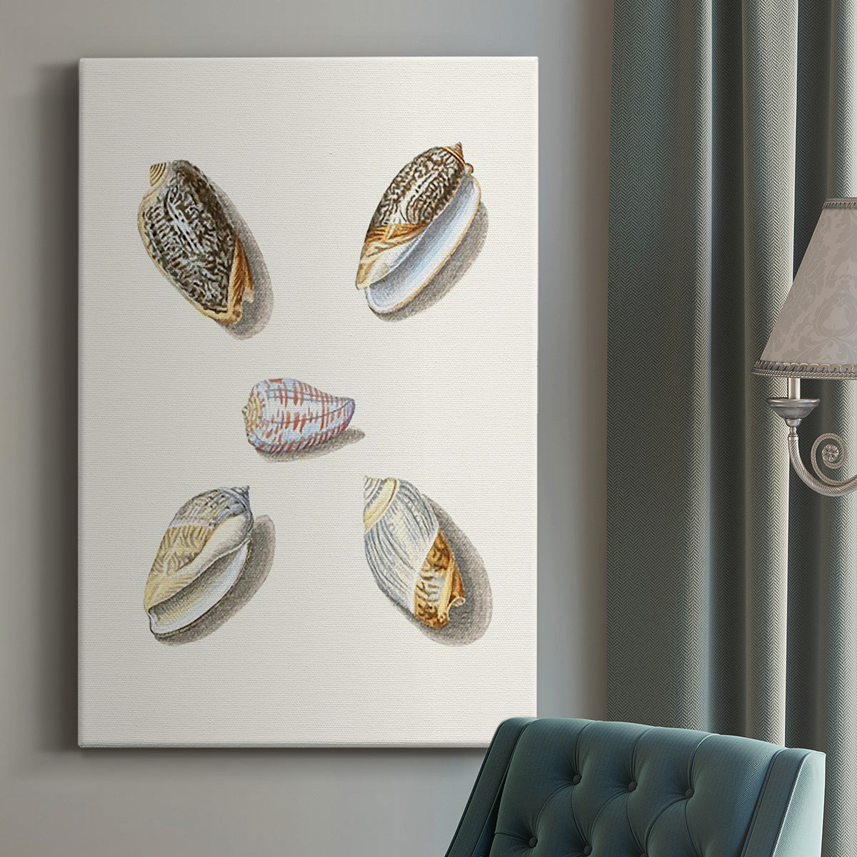 Pastel Knorr Shells III - Canvas Art Print